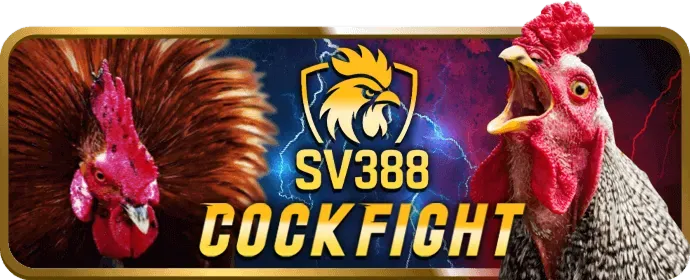 Trò chuyện trực tuyến 24/7 với 89bet01