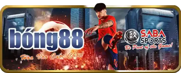 Thông tin pháp lý của 89bet01